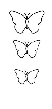 Motif Papillon-coque2