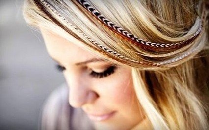 plume cheveux