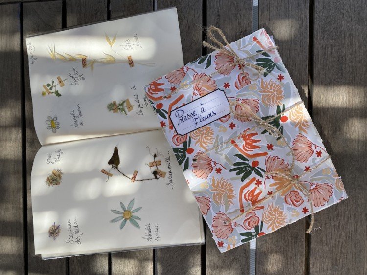 Herbier et presse à fleurs