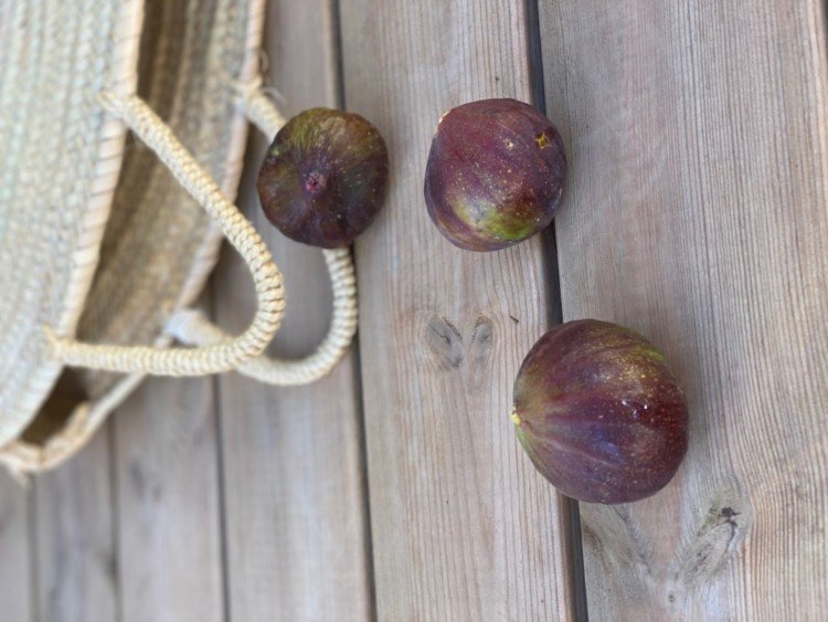 figues fraiches sortant d'un panier